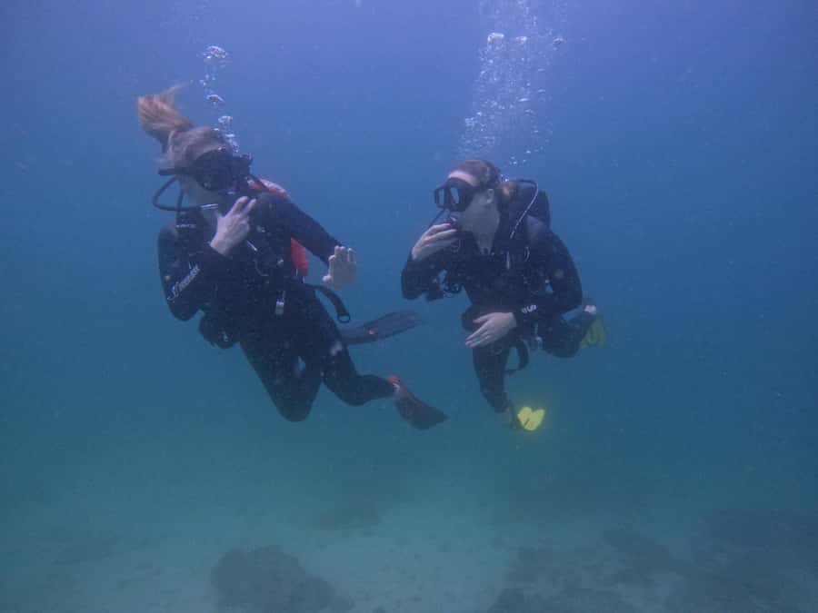 From Dubai: 2 Dives for Certified Divers with BBQ & Transfer - Key points at a glance