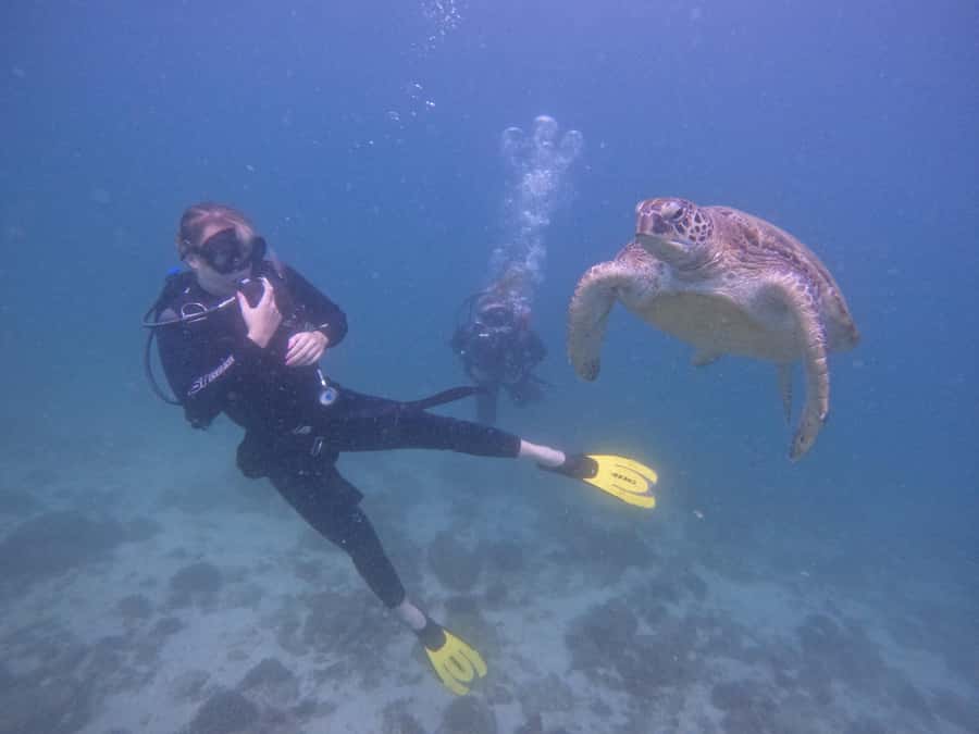 From Dubai: 2 Dives for Certified Divers with BBQ & Transfer - Fujairah gives you a different side of the UAE