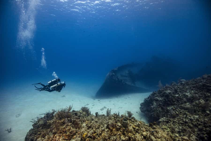 From Dubai: 2 Dives for Certified Divers with BBQ & Transfer - Two hours underwater at different Fujairah sites