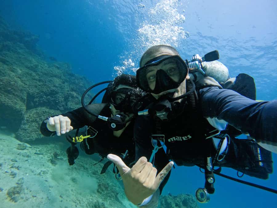 From Dubai: 2 Dives for Certified Divers with BBQ & Transfer - What the boat adds, and what to check