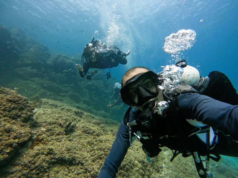 From Dubai: 2 Dives for Certified Divers with BBQ & Transfer - Three East Coast stops on the way home