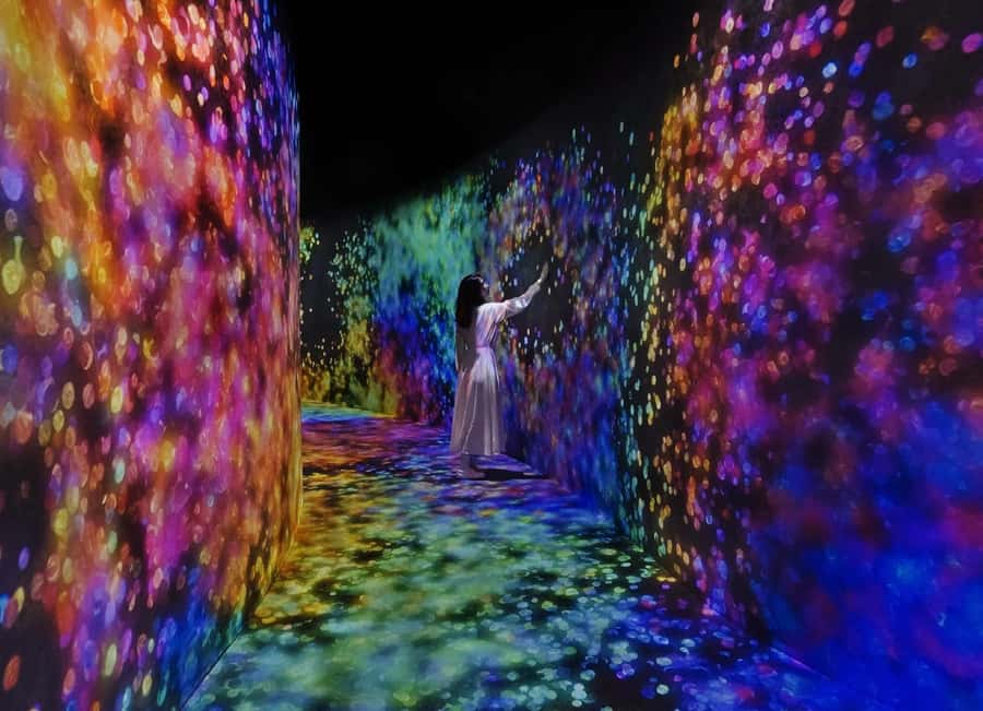 From Dubai: Abu Dhabi City Tour With teamLab Experience - Louvre Abu Dhabi in only 10 minutes
