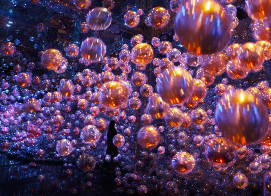From Dubai: Abu Dhabi City Tour With teamLab Experience - Timing, heat, and what to wear
