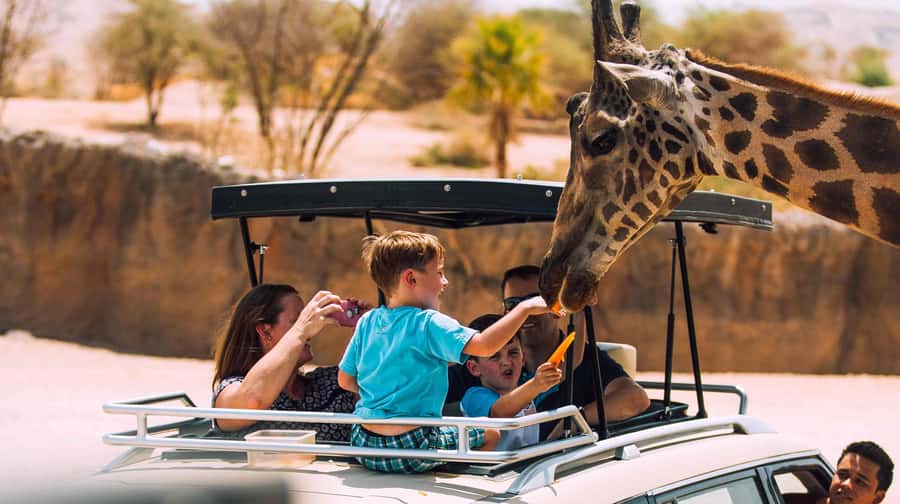 From Dubai: Al Ain City Tour - Lunch and Al Ain Mall fill out the middle of the day