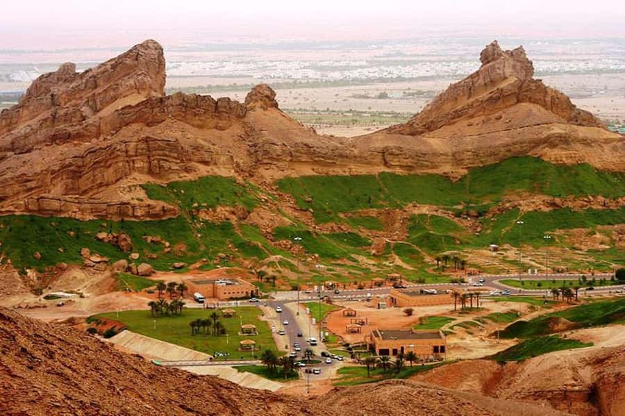 From Dubai: Al Ain Garden City Full-Day Sightseeing Tour - Why Al Ain makes a good change from Dubai