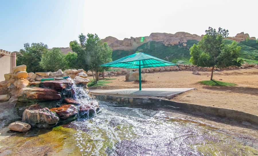 From Dubai: Al Ain Garden City Full-Day Sightseeing Tour - Walking through Al Ain Oasis and its falaj channels