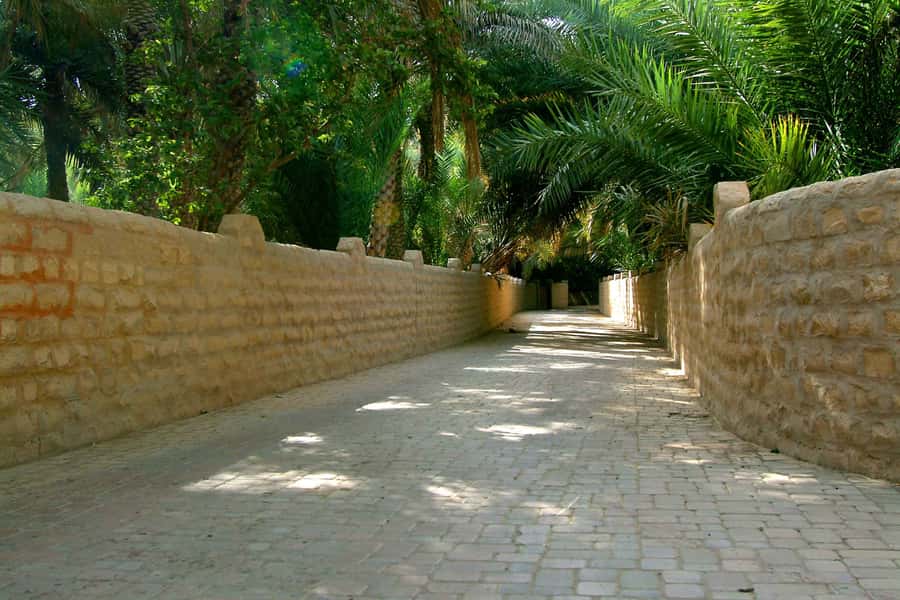 From Dubai: Al Ain Garden City Full-Day Sightseeing Tour - Al Muwaiji Fort, the tour’s opening stop