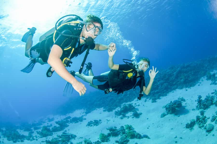 From Dubai: Discovery Scuba Diving & Snorkeling In Fujairah - Key points to know