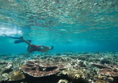 Discovery Scuba Diving & Snorkeling In Fujairah