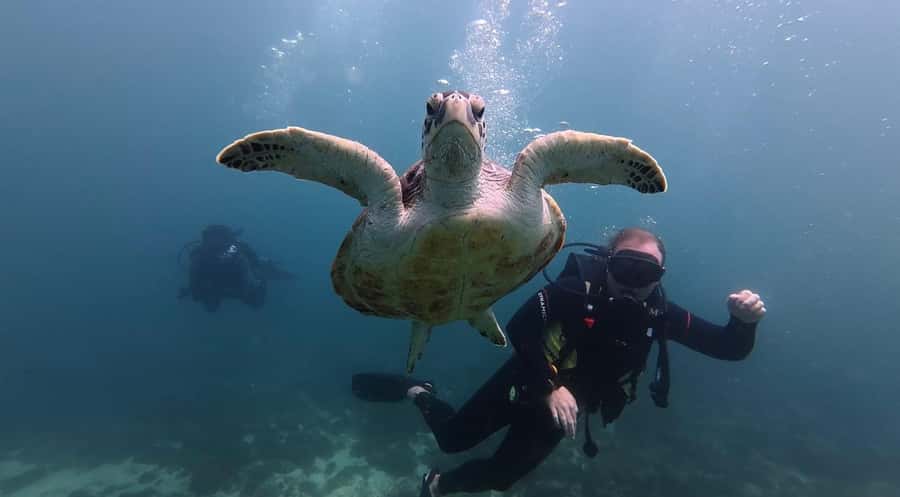 From Dubai: Discovery Scuba Diving & Snorkeling In Fujairah - Food, drinks, and the boat experience