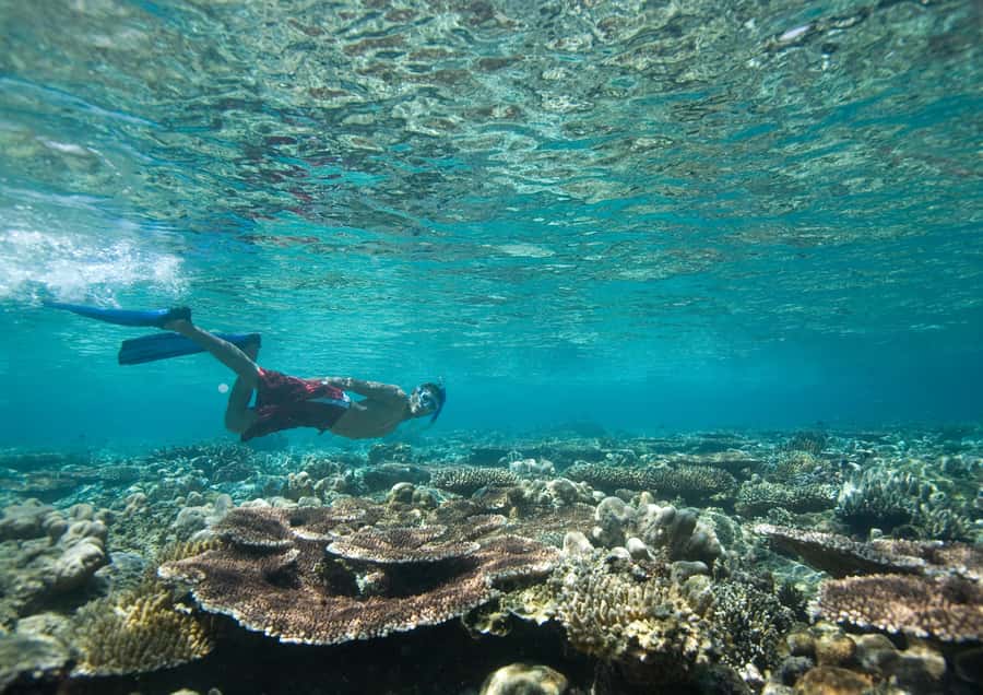 From Dubai: Discovery Scuba Diving & Snorkeling In Fujairah - Getting ready with the instructors