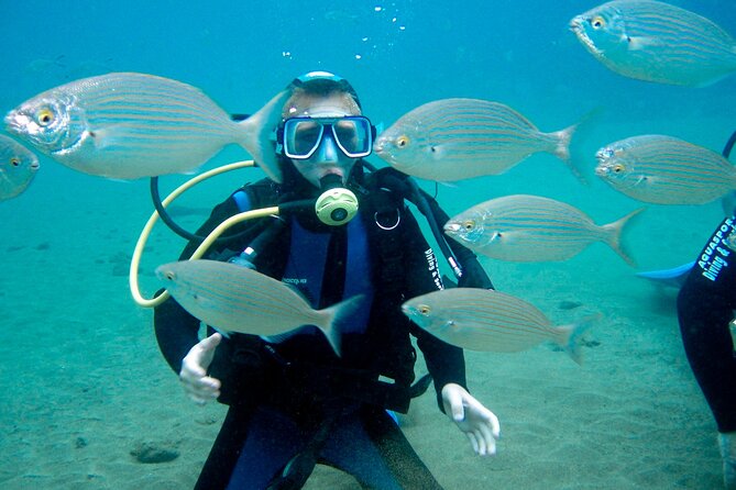 From Dubai: Discovery Scuba Diving & Snorkeling trip in Fujairah - How the $155 price works out