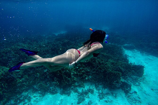 From Dubai: Discovery Scuba Diving & Snorkeling trip in Fujairah - What happens before the water session