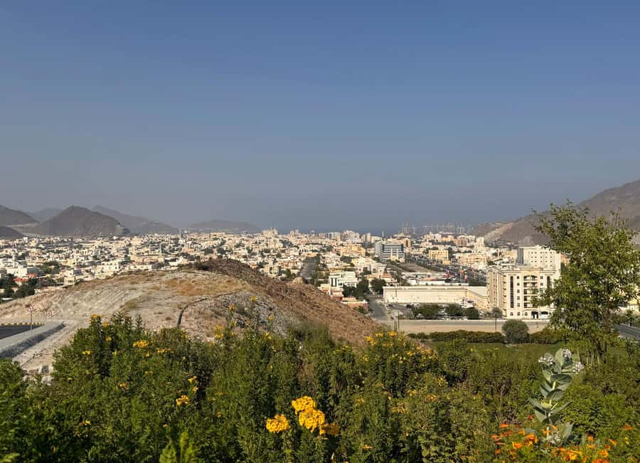 From Dubai: Fujairah City Tour - Key points to know before booking