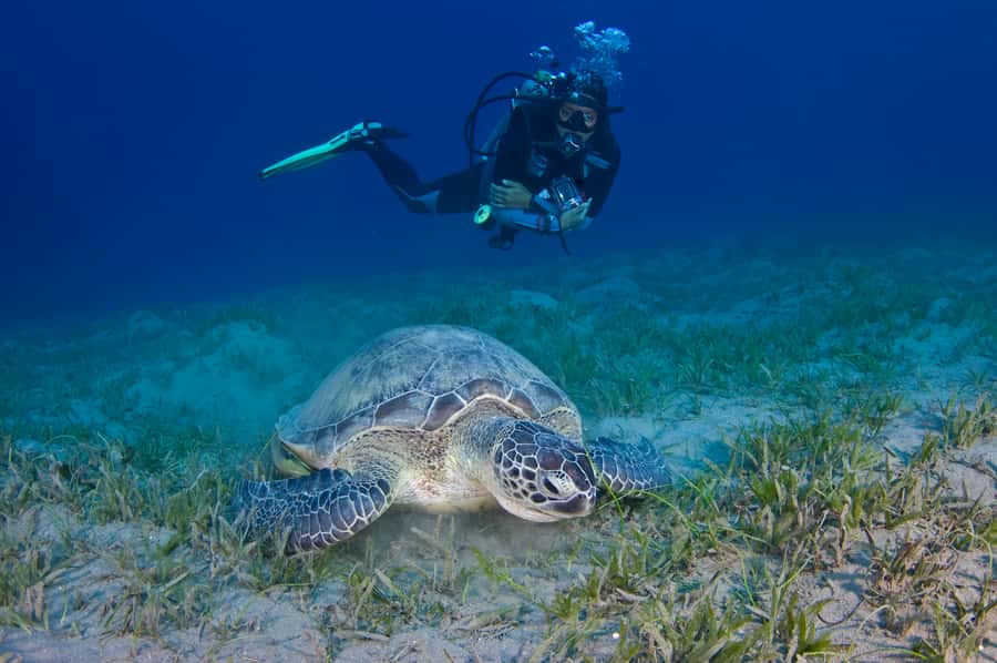 From Dubai: Fujairah Half-Day Scuba Dive and Snorkeling - The boat ride to the coral reefs