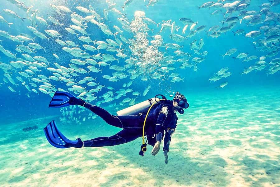 From Dubai: Fujairah Half-Day Scuba Dive and Snorkeling - The early road from Dubai to Fujairah
