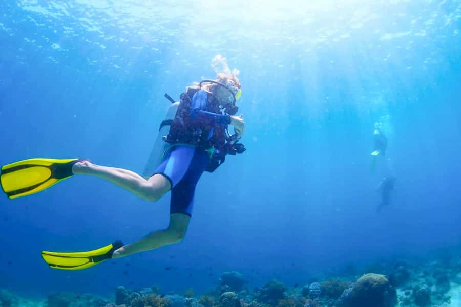 From Dubai: Fujairah Scuba Dive and Snorkeling - Two guided sessions at different sites