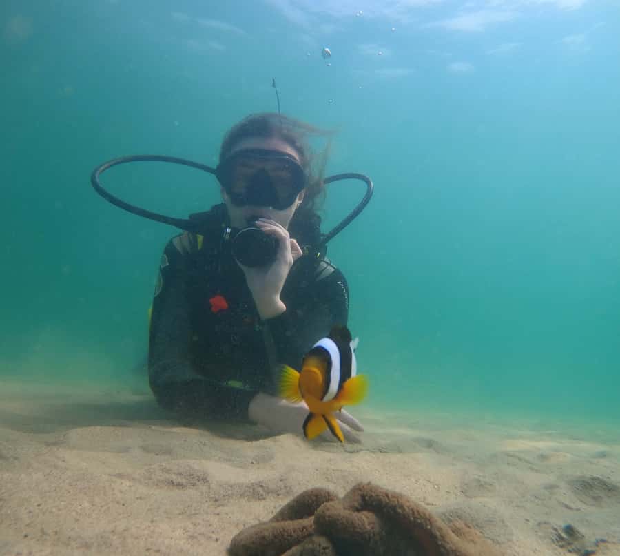 From Dubai: Fujairah Scuba Dive and Snorkeling - Snorkeling for a lighter way into the water