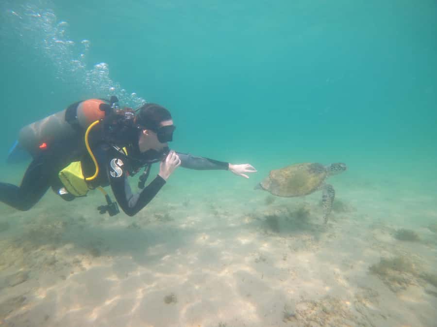 From Dubai: Fujairah Scuba Dive and Snorkeling - Is $157 good value from Dubai?