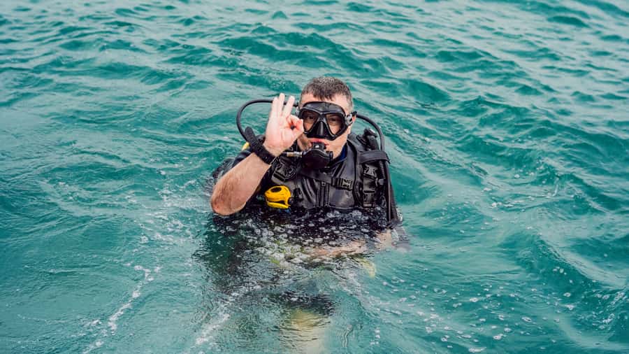 From Dubai: Fujairah Scuba Dive and Snorkeling - Photos, comfort, and small annoyances