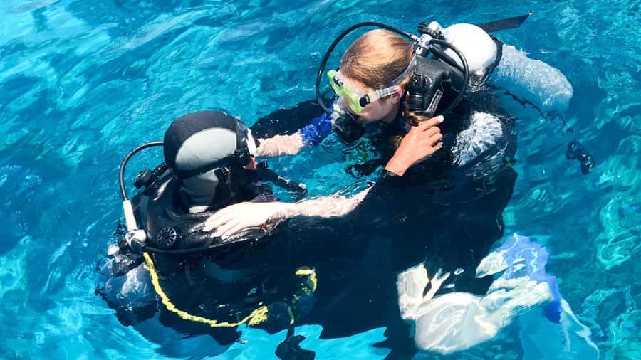 From Dubai: Fujairah Scuba Dive and Snorkeling - Should you book the Fujairah scuba and snorkeling trip?