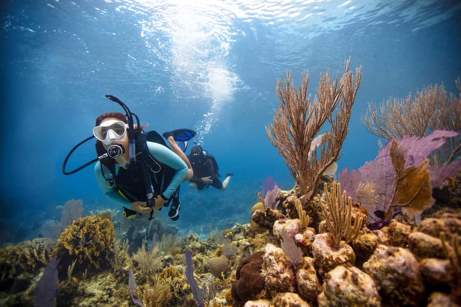 From Dubai: Fujairah Scuba Dive and Snorkeling - Cruising toward the first coral site