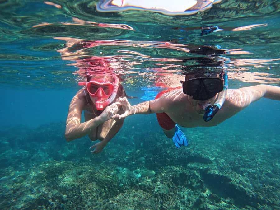From Dubai: Fujairah Snorkeling with Turtles, Transfer & BBQ - Key things to know before you go