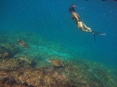 Fujairah Snorkeling with Turtles, Transfer & BBQ