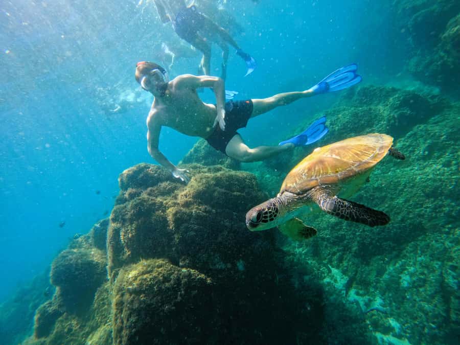 From Dubai: Fujairah Snorkeling with Turtles, Transfer & BBQ - Al Bidya Mosque and the return route