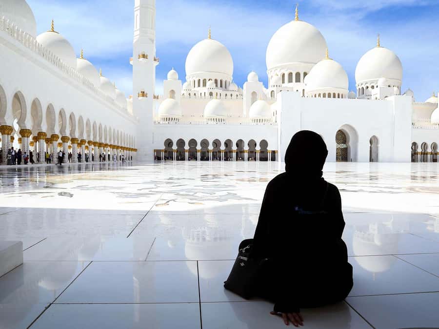 From Dubai: Full Day City Tour, Grand Mosque, Qasr Al Watan - Morning pick-up from Dubai and the drive south