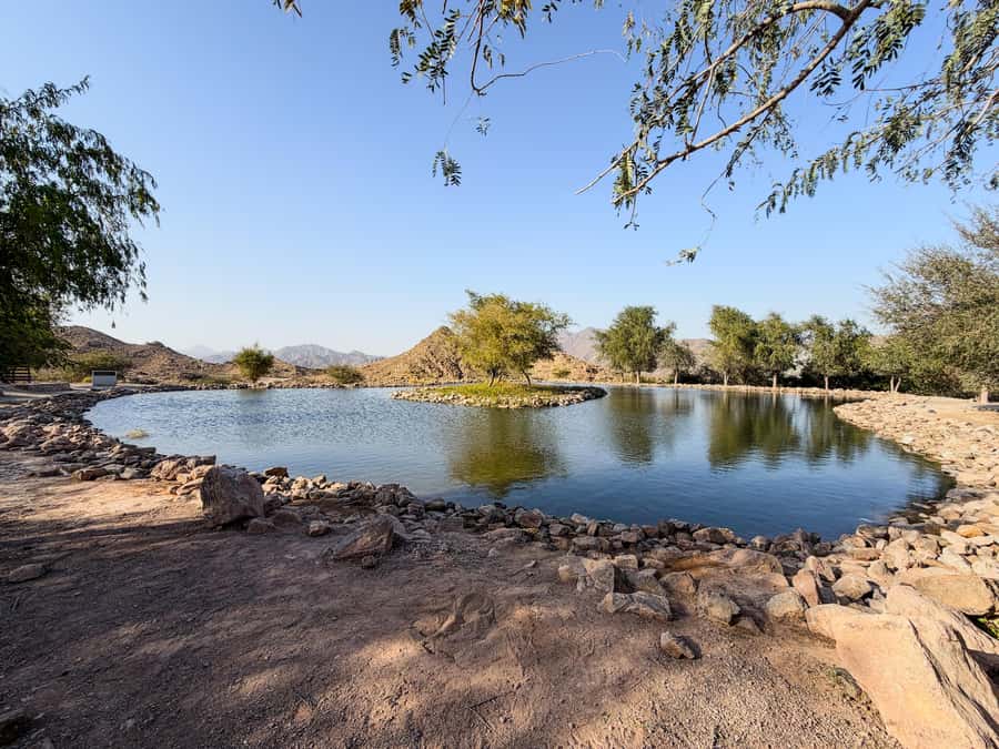 From Dubai: Hatta Sightseeing Tour with kayaking - Hatta Hill Park brings the wide views