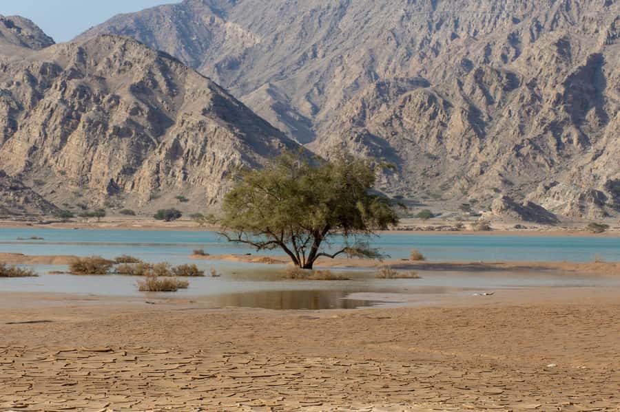 From Dubai: Jabel Jais High Mountain Tour with Transfers - What can go wrong on a mountain day