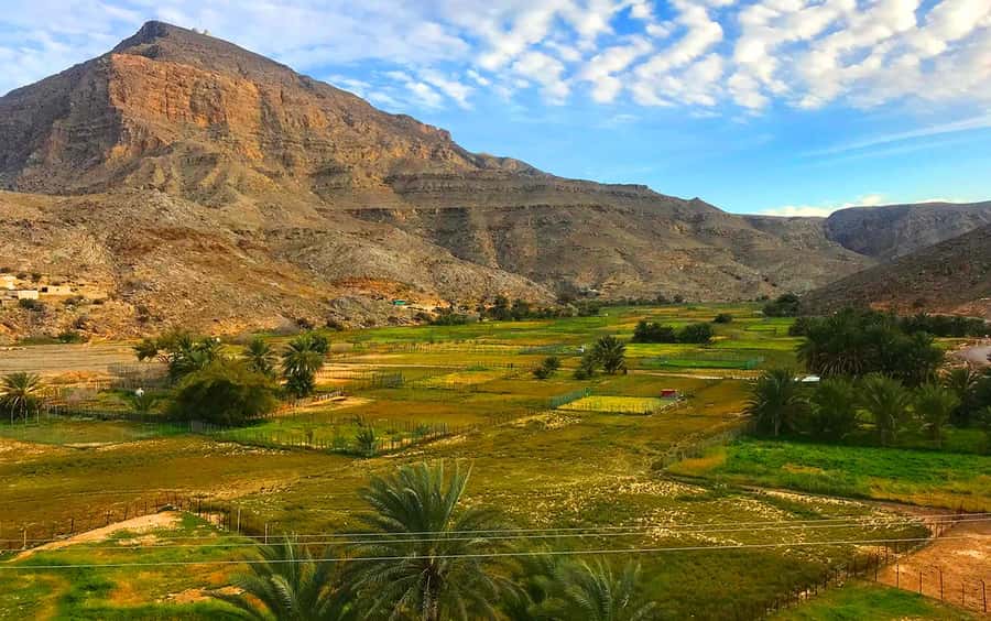 From Dubai: Musandam Khasab Tour with Boat Trip and Safari - Who should book this experience