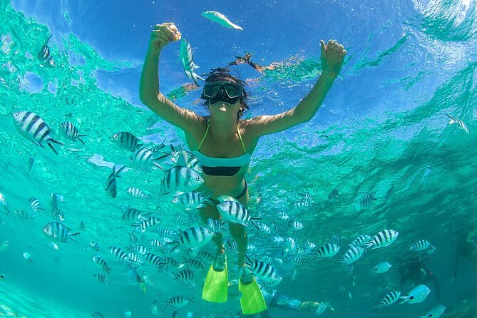 From Dubai: Snorkeling trip in Fujairah - Key points to know before booking