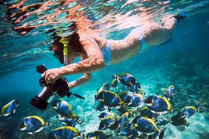 From Dubai: Snorkeling trip in Fujairah - From Dubai to Fujairah’s east coast