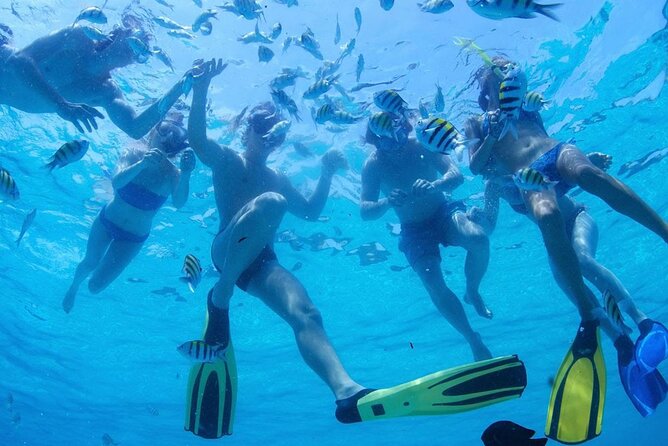 From Dubai: Snorkeling trip in Fujairah - How long you actually spend in the water