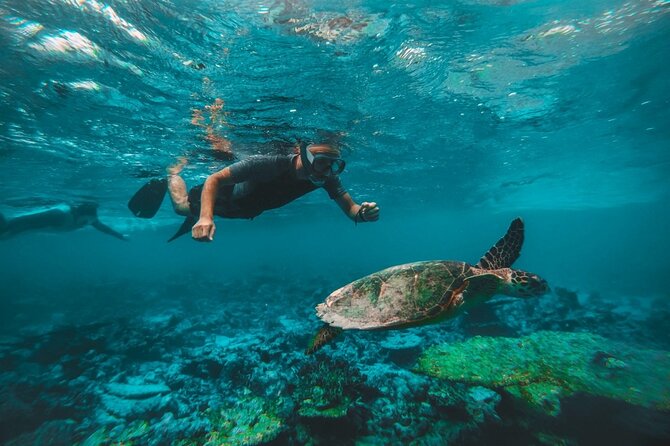 From Dubai: Snorkeling trip in Fujairah - Food and refreshments: read the fine print