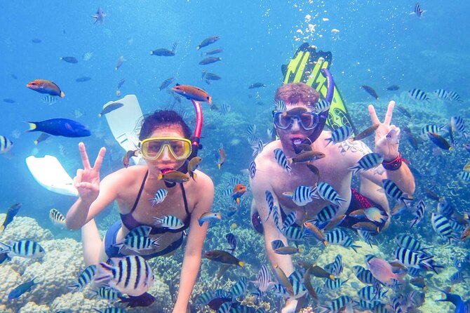 From Dubai: Snorkeling trip in Fujairah - Is the $120 Fujairah day trip worth it?
