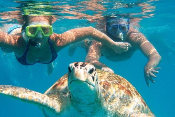 From Dubai: Snorkeling trip in Fujairah - What the boat trip is really like