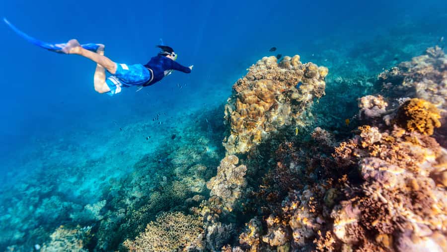 From Dubai: Snorkeling Trip to Dibba Al-Fujairah - From Dubai to Fujairah: the day starts early