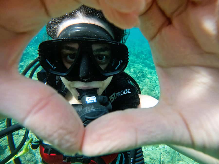 From Dubai: Try Scuba Diving, Snorkeling with BBQ & Transfer - Is $163 a fair price?