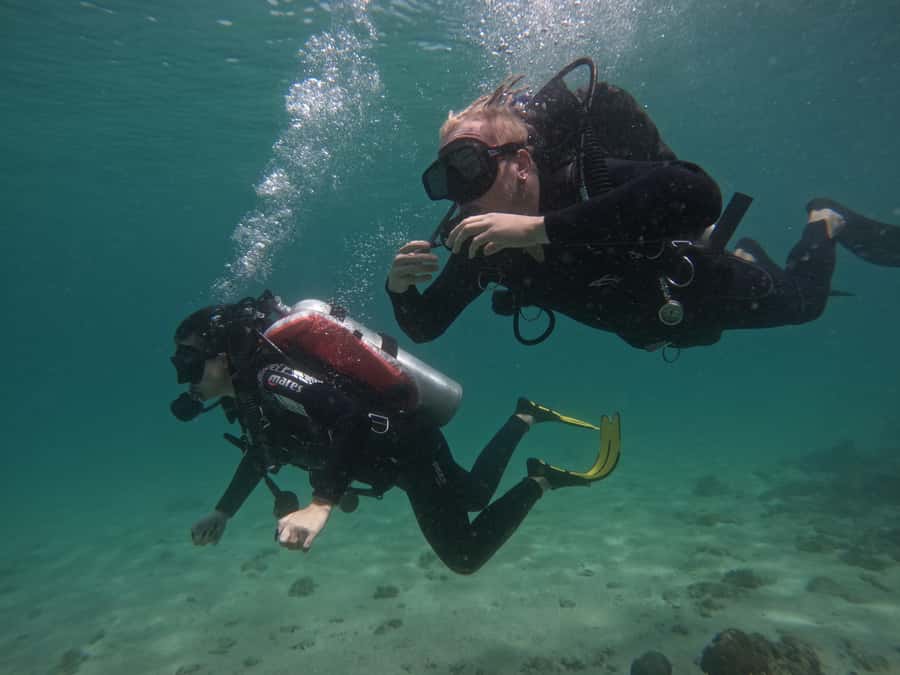 From Dubai: Try Scuba Diving, Snorkeling with BBQ & Transfer - Who will enjoy this Fujairah day most?