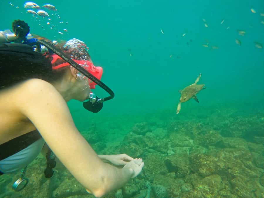 From Dubai: Try Scuba Diving, Snorkeling with BBQ & Transfer - Small details that make the day easier