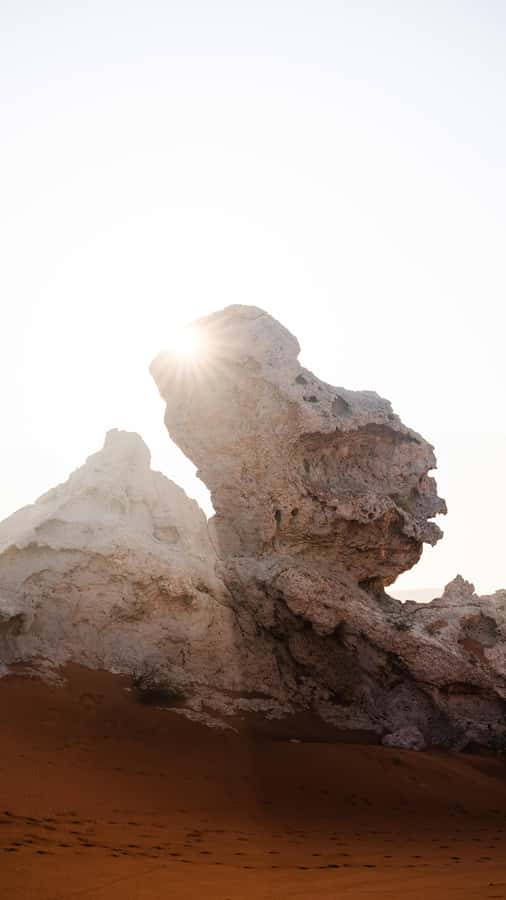 From Dubai: Zerzura Dune Buggy Experience & Fossil Discovery - The one-hour buggy drive across Mleiha