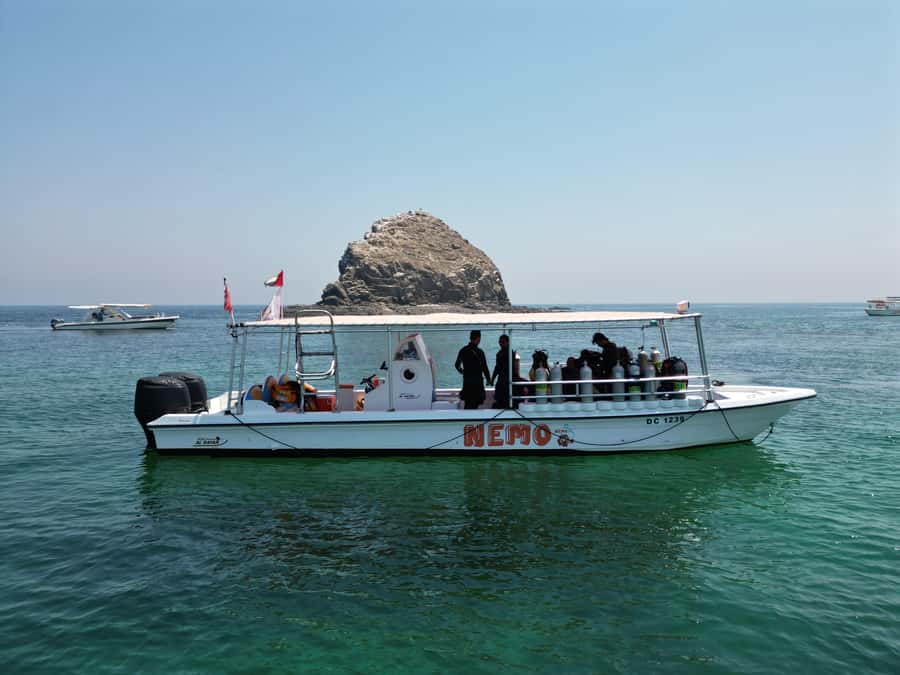 Fujairah: 2 Fun Dive Experience for Certified Divers - What the four-hour schedule really gives you