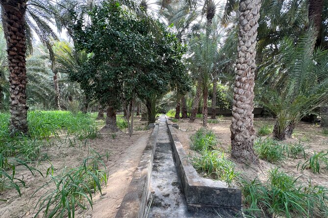 Full Day Al Ain City Tour with Lunch - Jahili Fort and the story of local power