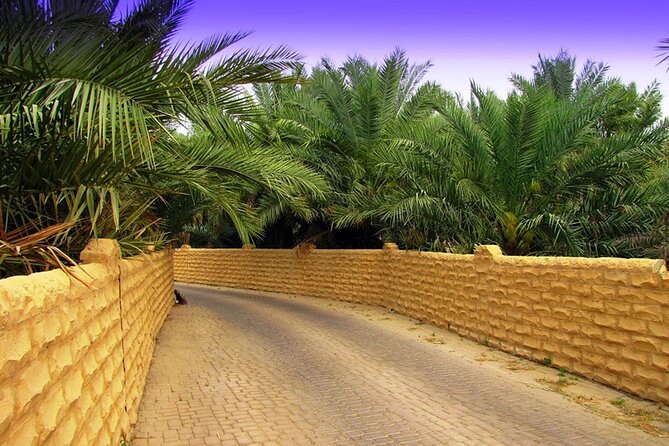 Full Day Al Ain tour with Lunch from Dubai - The Al Ain museum and oasis setting