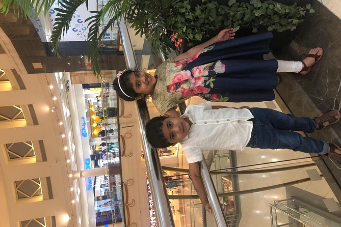 Full Day Dubai Shopping Tour with Private Transfers - Karama and the Gold Souk as possible alternatives
