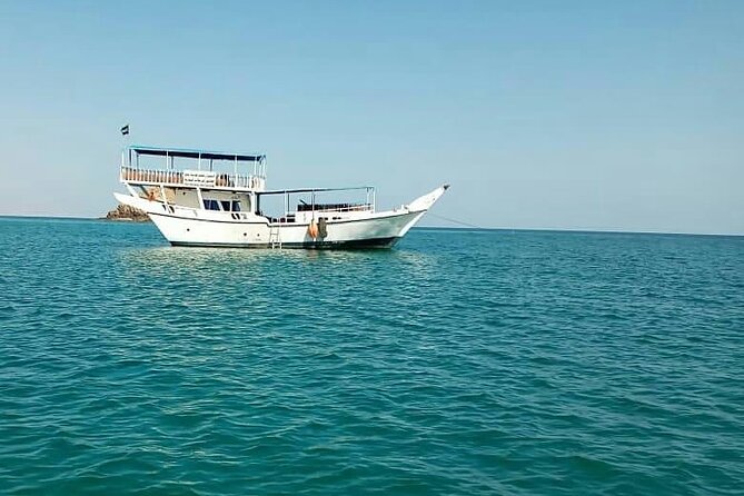 Full Day Musandam Cruise with Lunch and Snorkelling from Dubai - Who will enjoy this day most