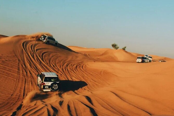 Half-Day Private Morning Desert Safari by 4x4 Car - Dune bashing: the main burst of excitement